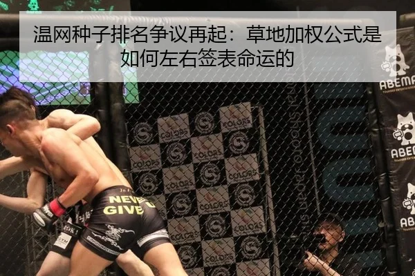 温网种子排名争议再起：草地加权公式是如何左右签表命运的